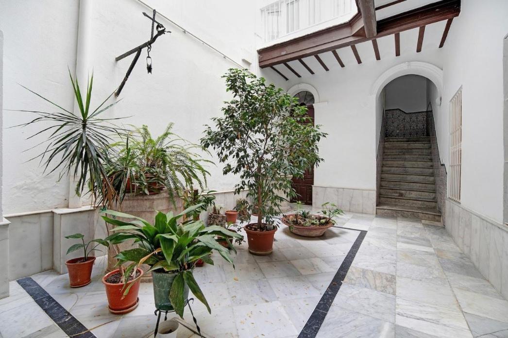Precioso Alojamiento En Cadiz Junto Al Mercado 외부 사진